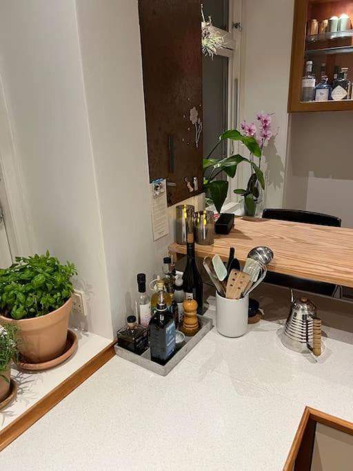 1-bedroom With Park View Frederiksberg *