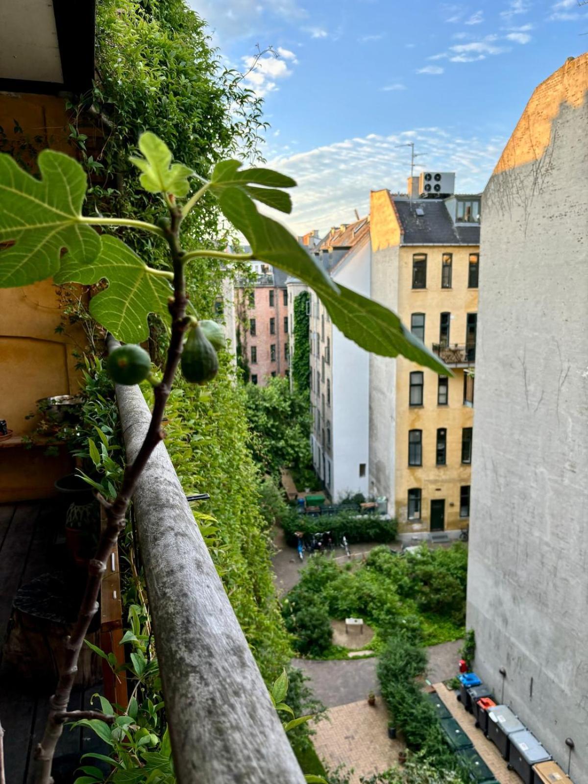 Unbeatable Cph Location - Local With Sunny Terrace Copenhagen