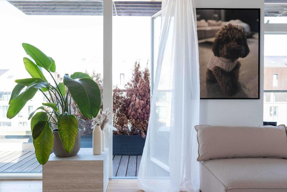 Lejlighed Modern Penthouse With Rooftop In Enghave Brygge København