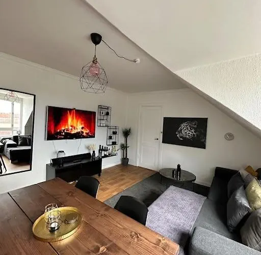 Elegant Apartment With Penthouse View In Cph