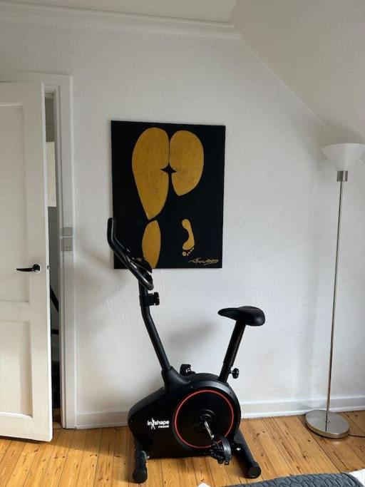 Elegant With Penthouse View In Cph *