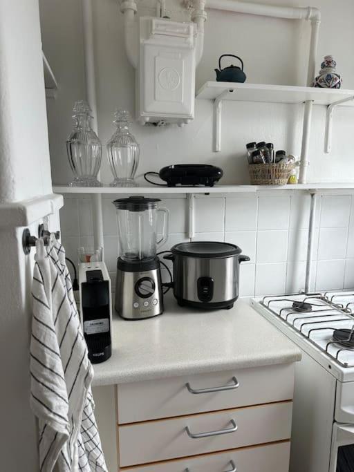 Elegant With Penthouse View In Cph *