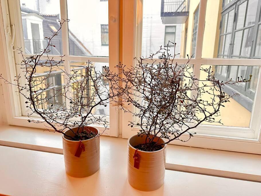 Boutique In Citycenter * Copenhague