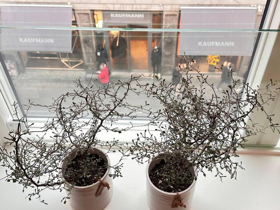 Boutique In Citycenter Appartement Copenhague