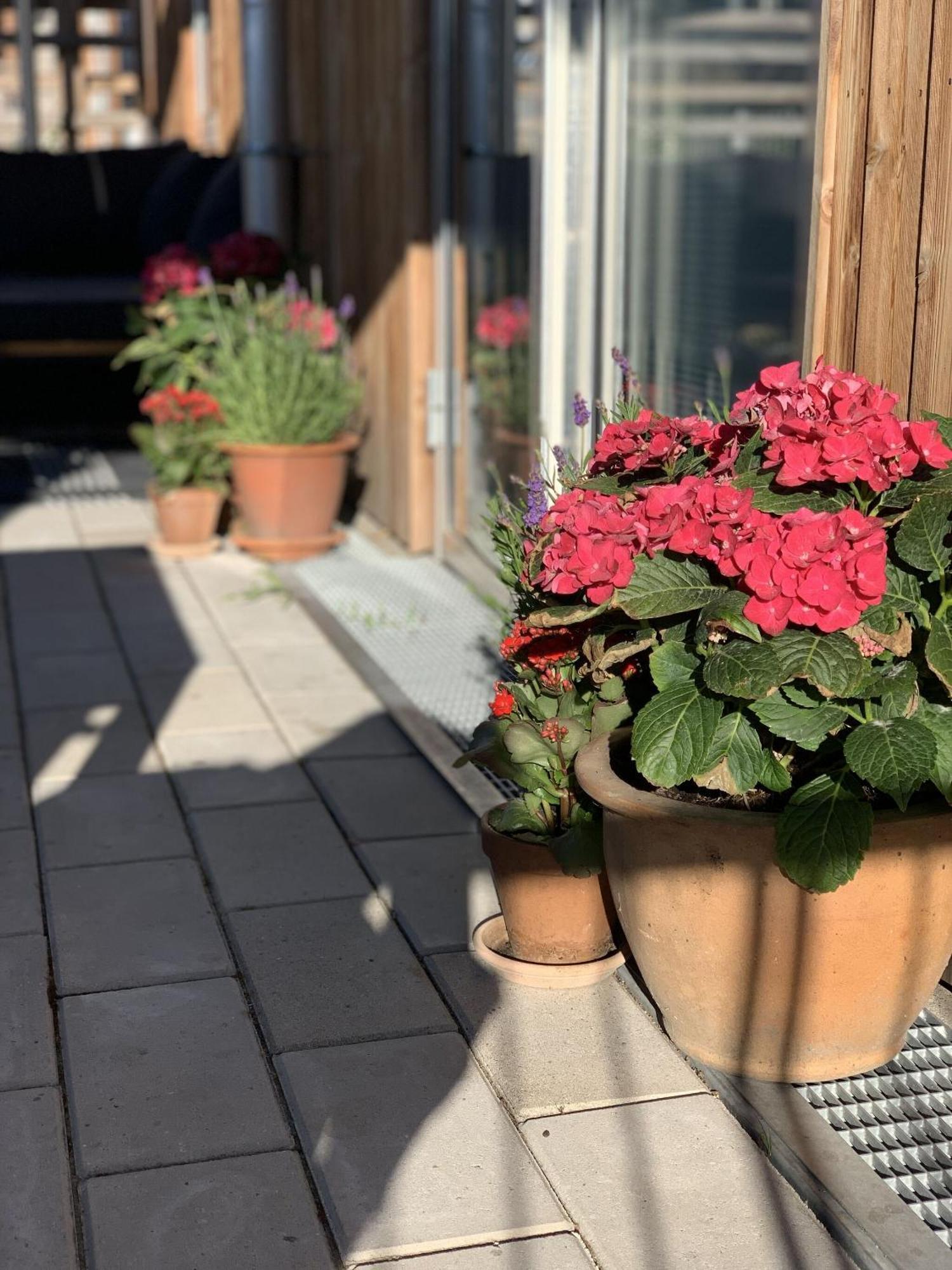 Apartmentincopenhagen 1460 Kopenhagen