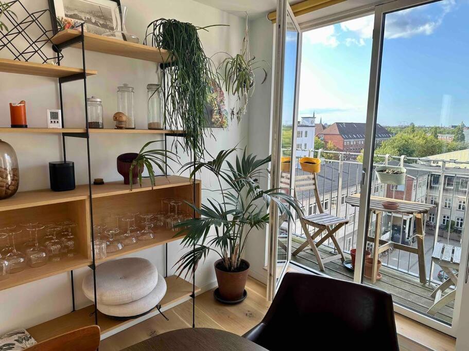 Apartment Penthouse: Delight