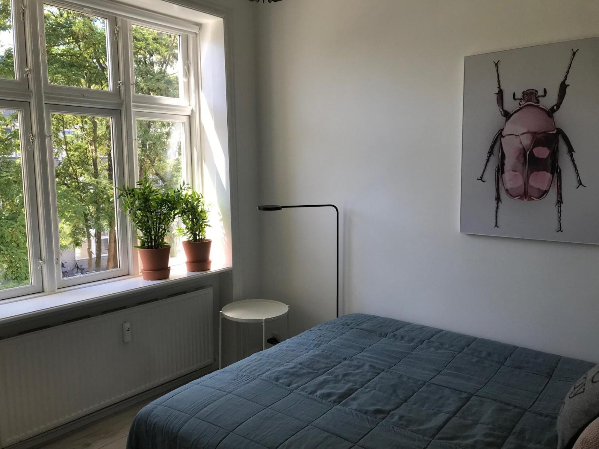Great 1-bed In Osterbro * Kööpenhamina