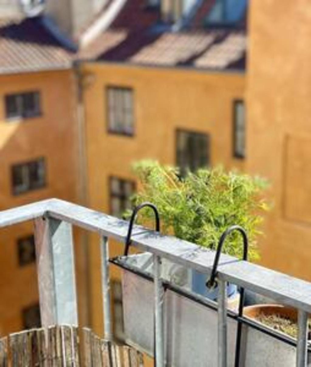Royal * Copenaghen