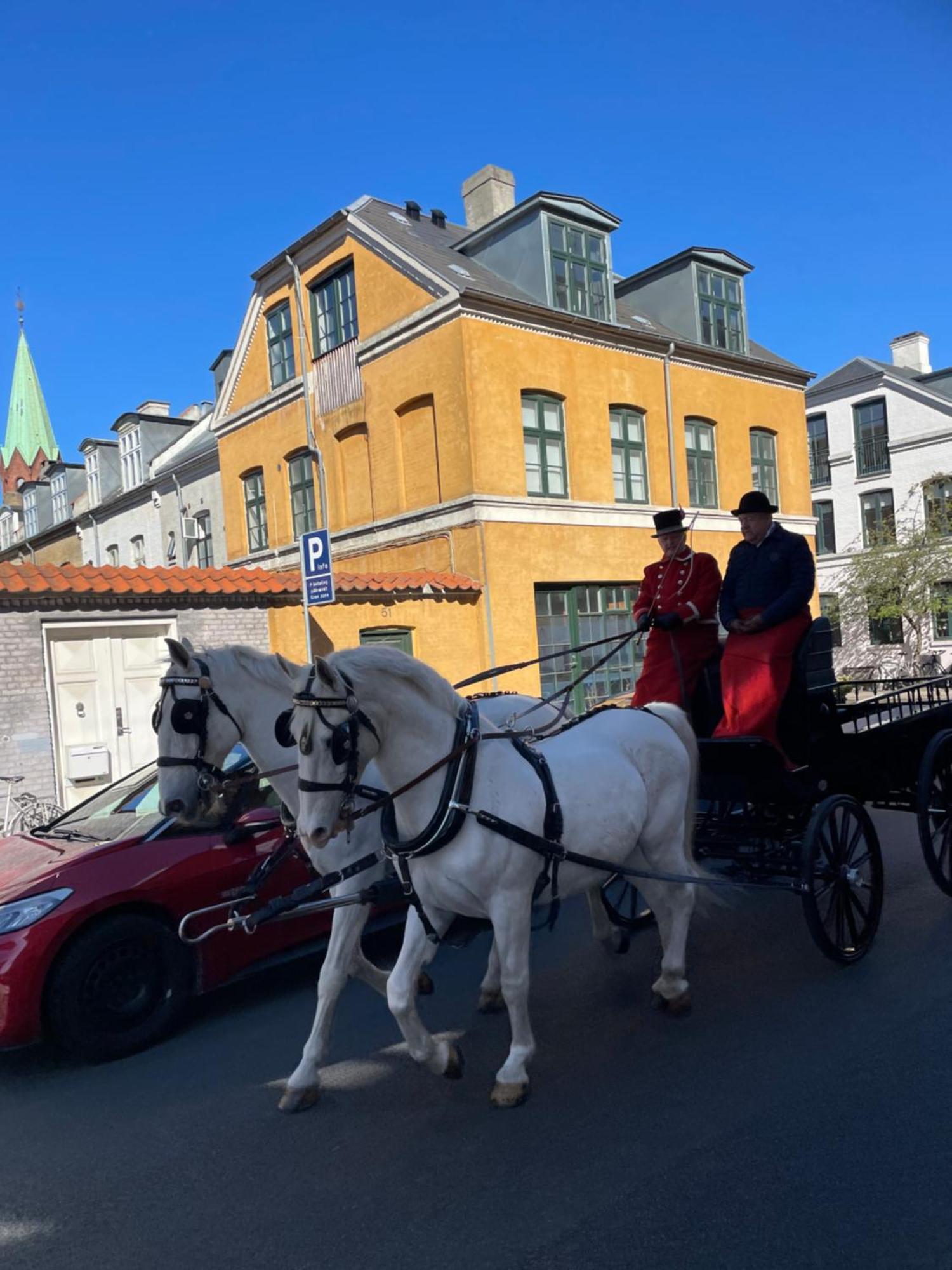 Cozy Center Chambers With Kitchen And Garden * Copenhague