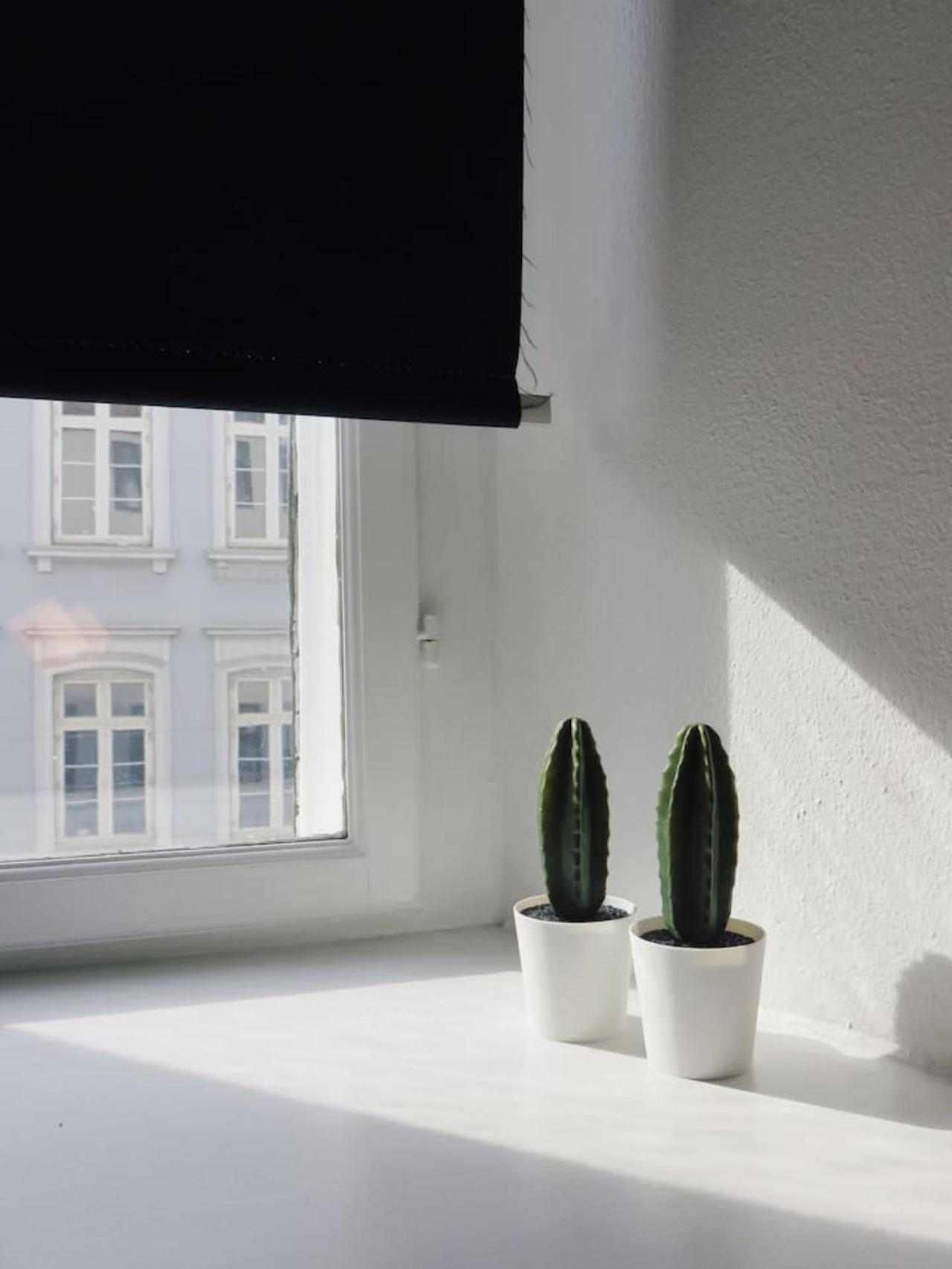 Lovely Nexto Norreport 303 Apartment