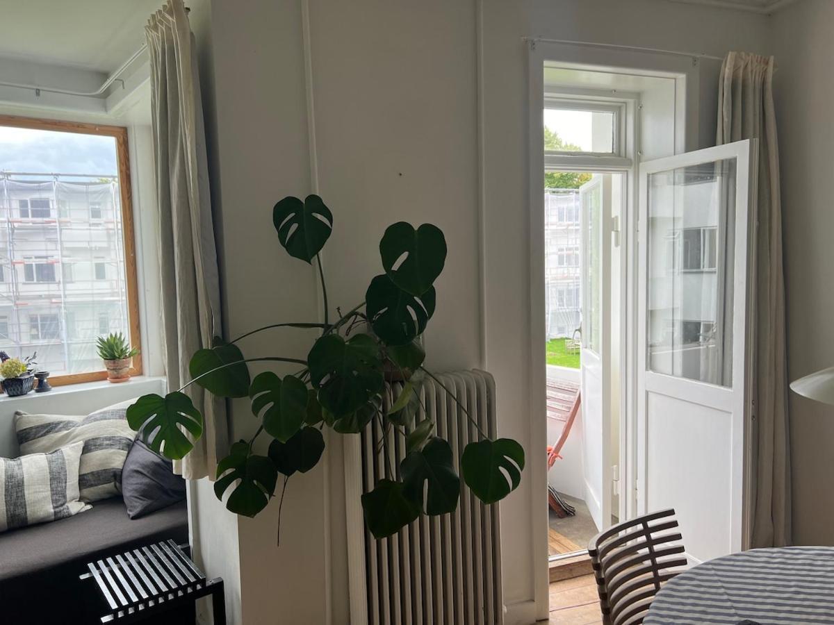 Appartement In Quiet Neighbourhood *