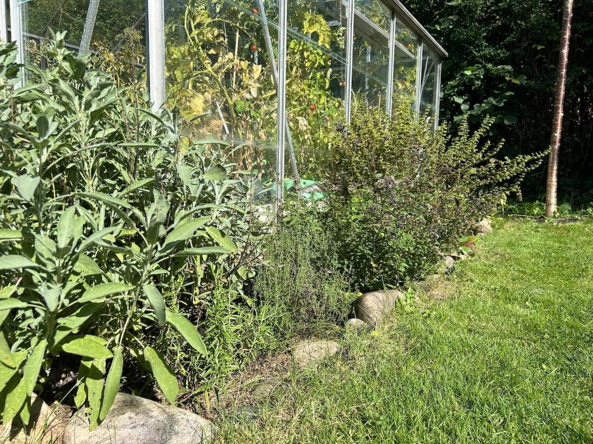Villa Lovely With Children's And Edible Garden Copenhagen