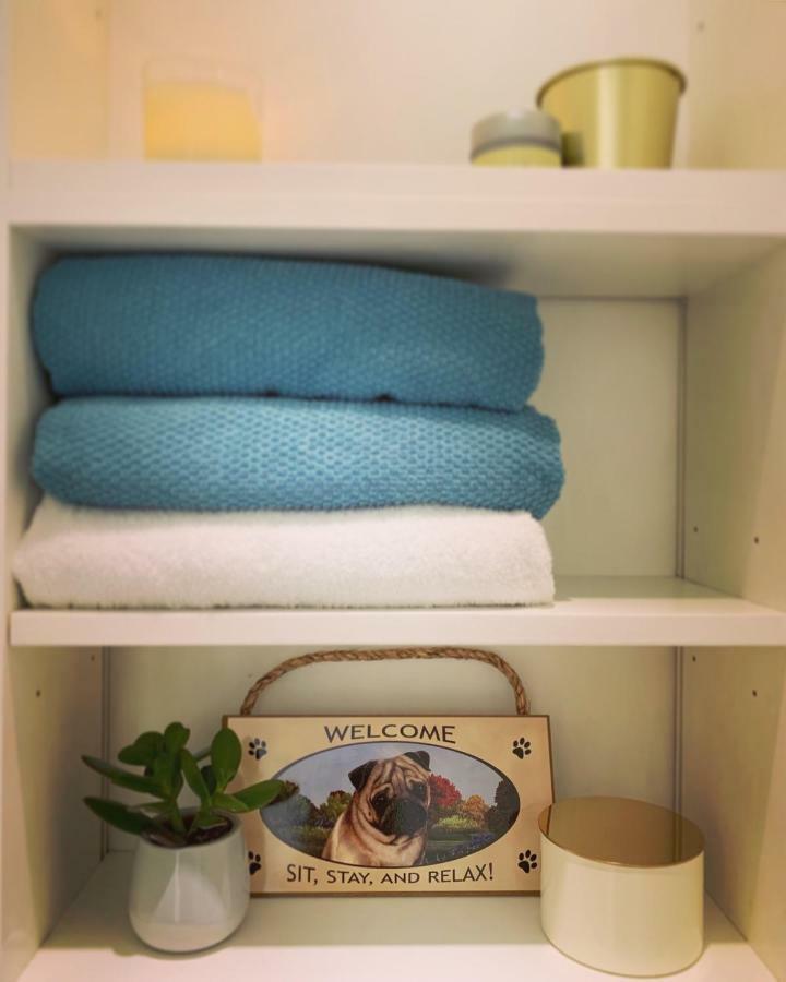 Cute Pug Séjour chez l'habitant *