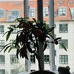 Apartmentincopenhagen Apartment 1511