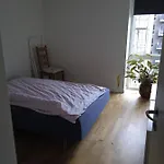 Vaerelse I Naturen Og Taet Pa City