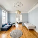 Spacious Apartment In The Heart Of Copenhagen