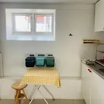 Charmerende Kaelderlejlighed I Villa