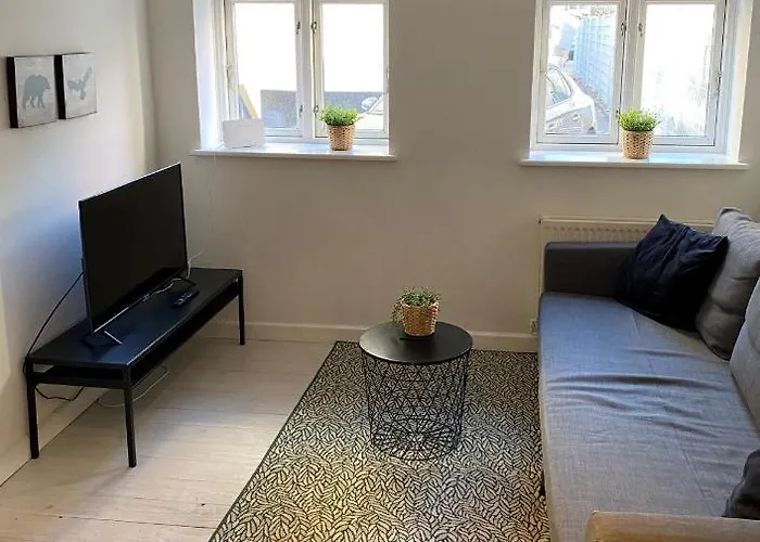 Studio Apartment Copenhagen Frederiksberg