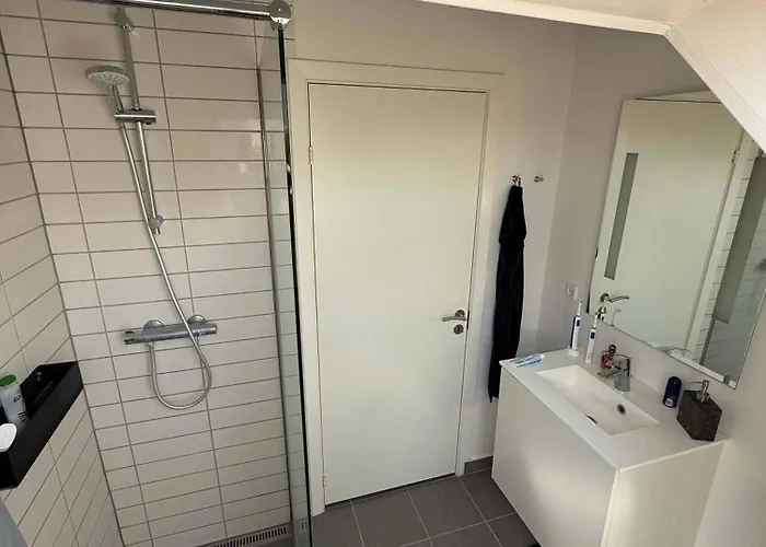 Big Frederiksberg Apartment