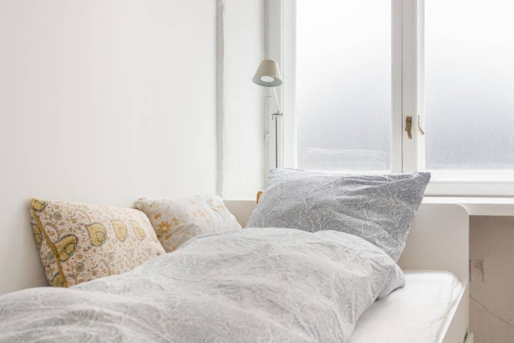 Spacious Flat In A Central, But Calm Area Of Cph *