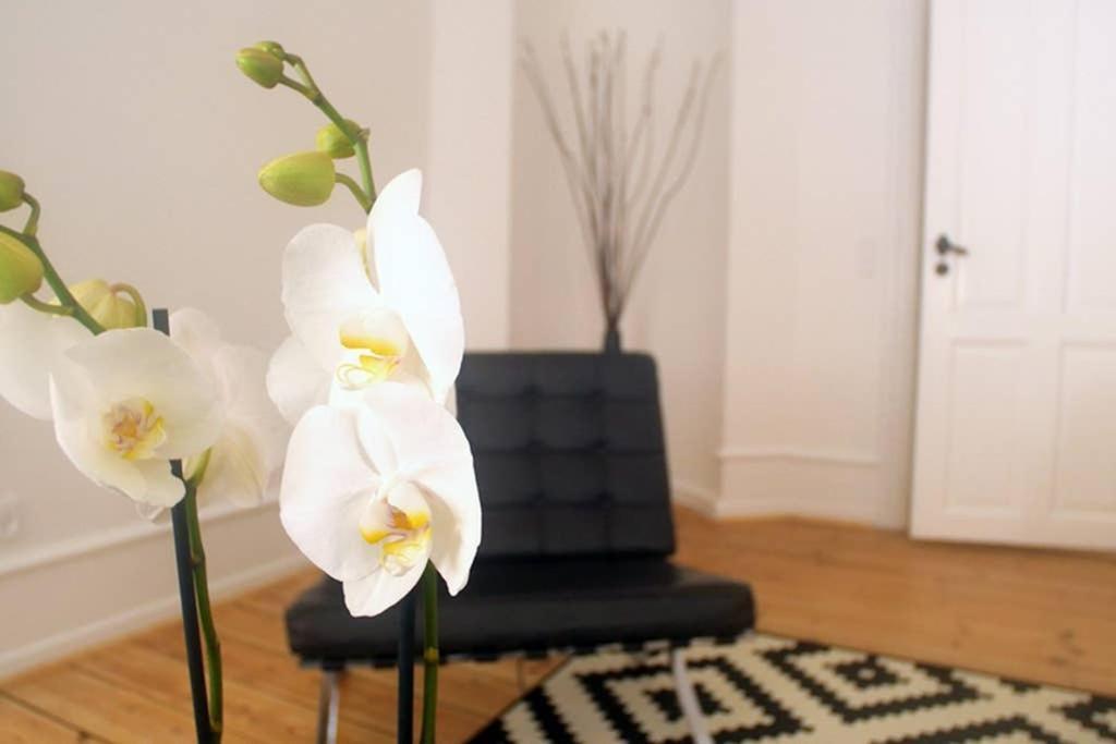 Next To New Harbor / 3 Bedroom & 2 Bath Copenhagen