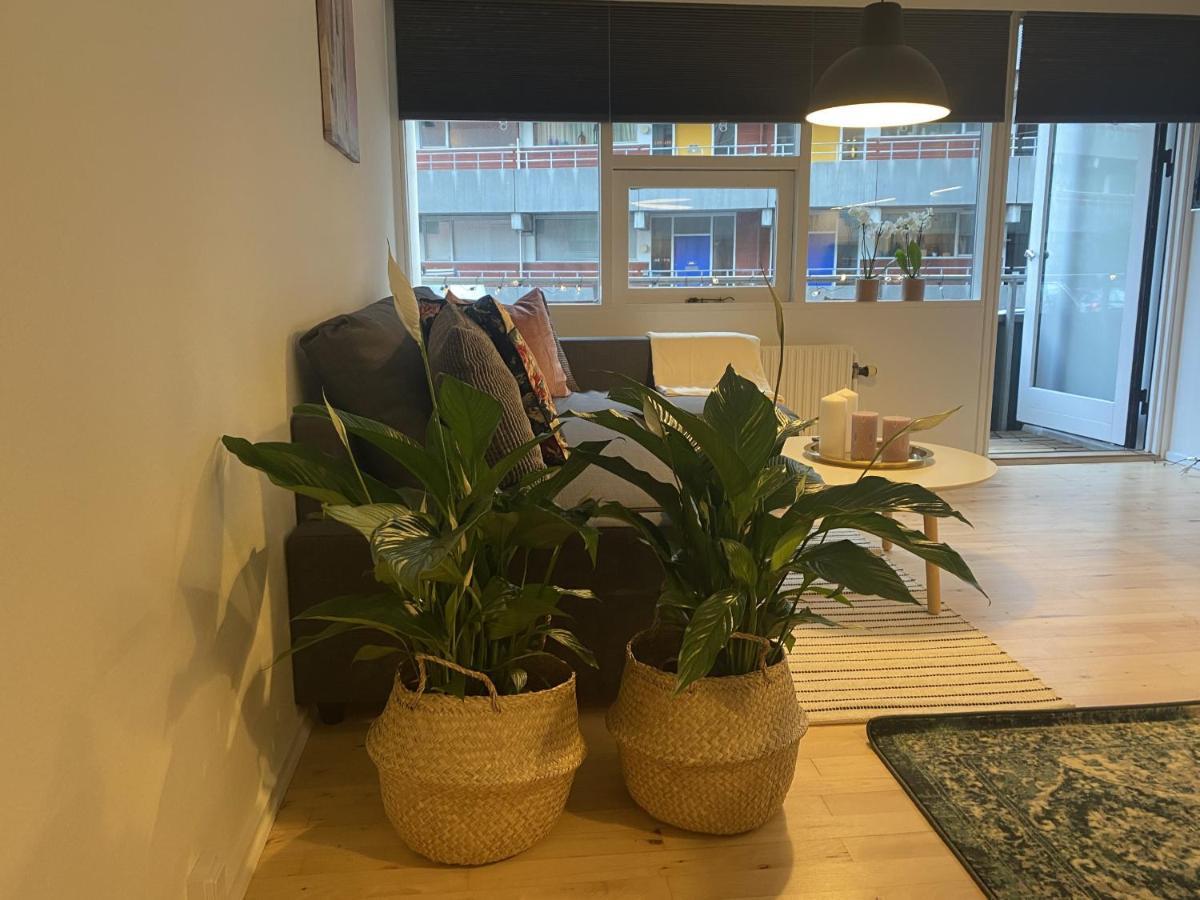 Aday - Dagmargade - Studio København