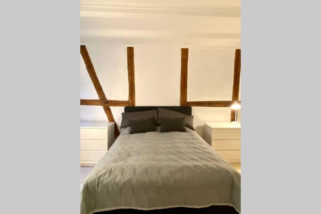 Luxury 'kings Garden' City-flat In Center Of Town København