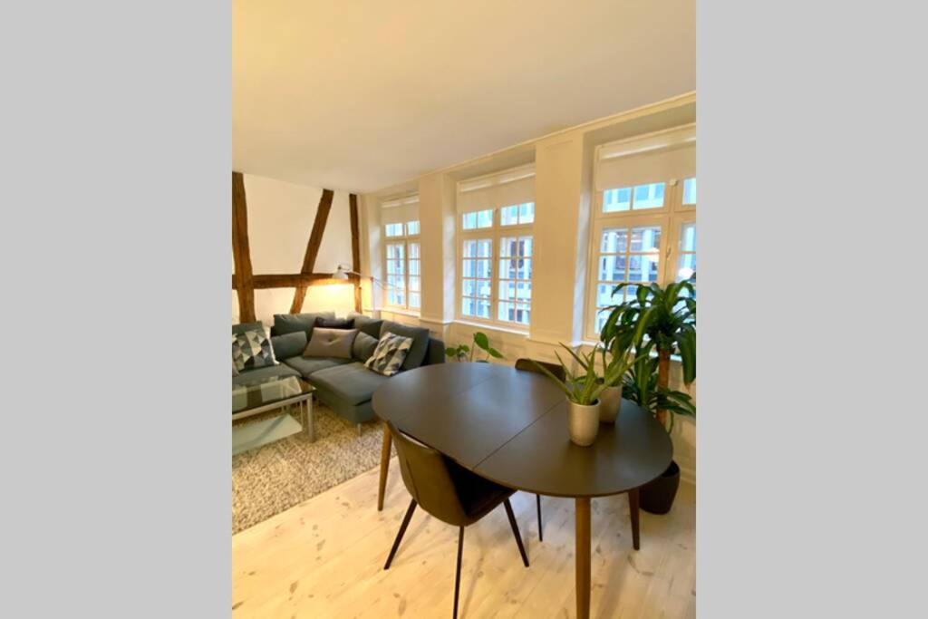 Luxury 'kings Garden' City-flat In Center Of Town København