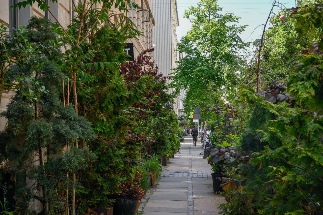 Spacious 3-bedroom With A Rooftop Terrace In The Center Of *