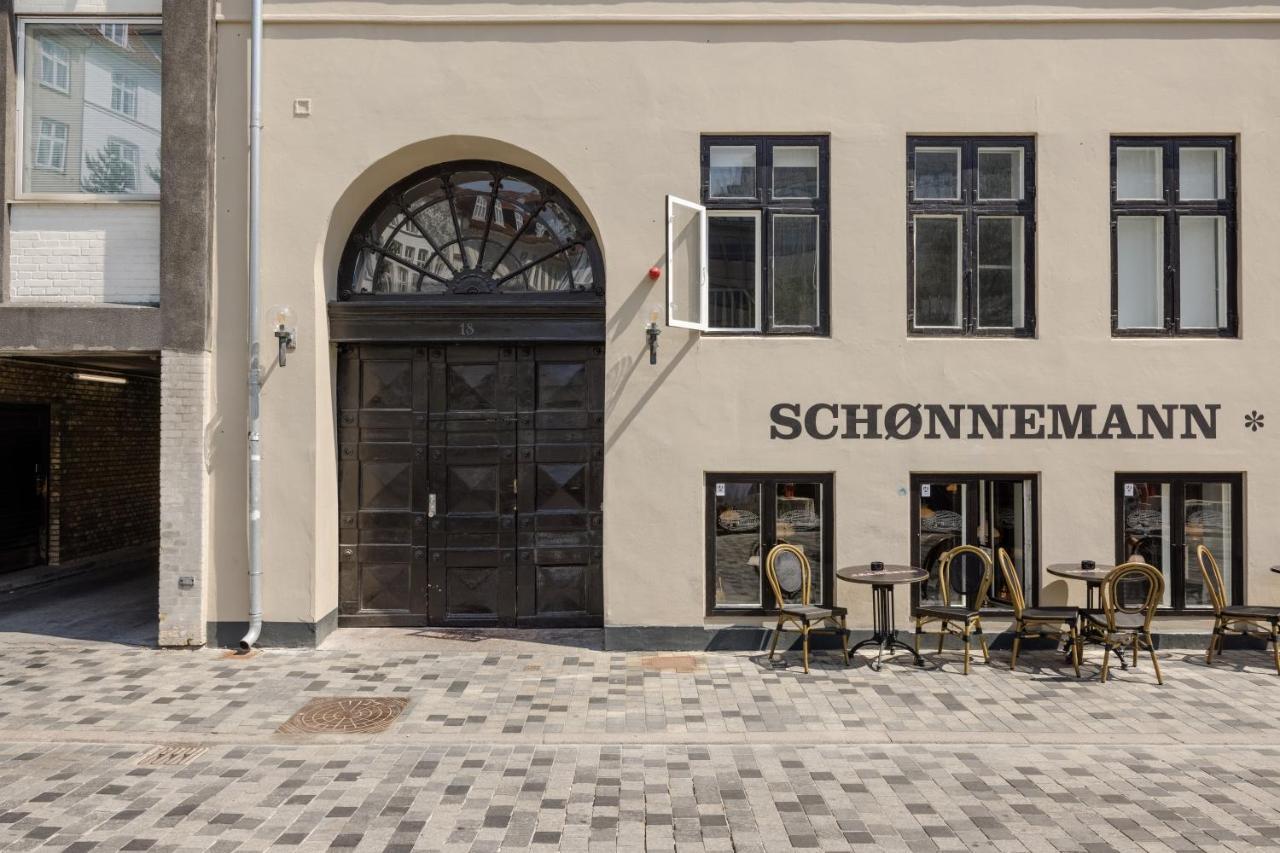 220sqm Designer - Center - Private Balcony Appartement Copenhague