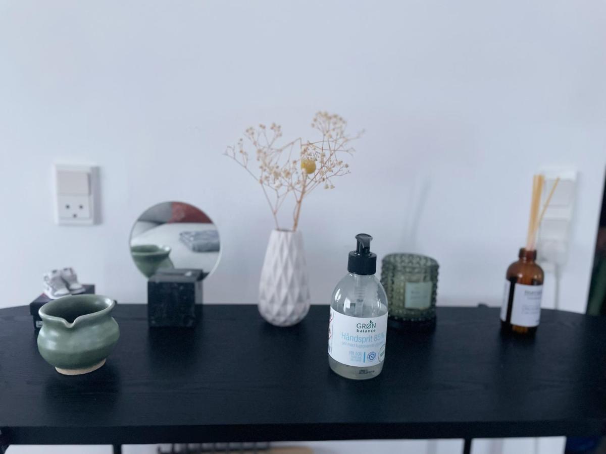 An Cosy Near Cph Airport Appartement