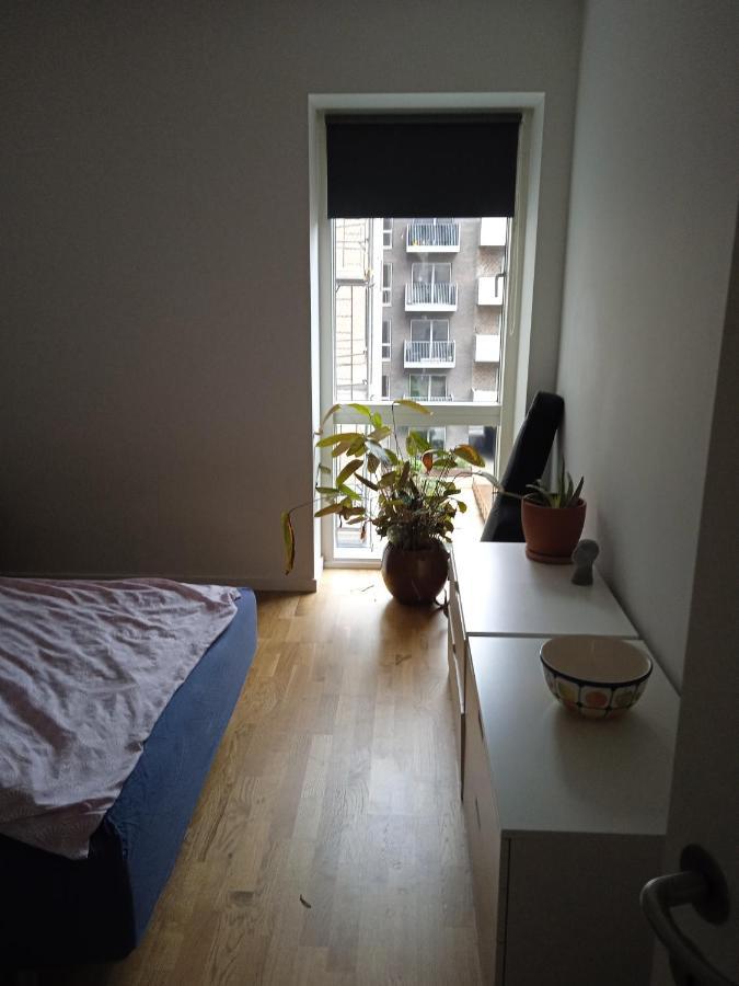 Vaerelse I Naturen Og Taet Pa City Homestay *