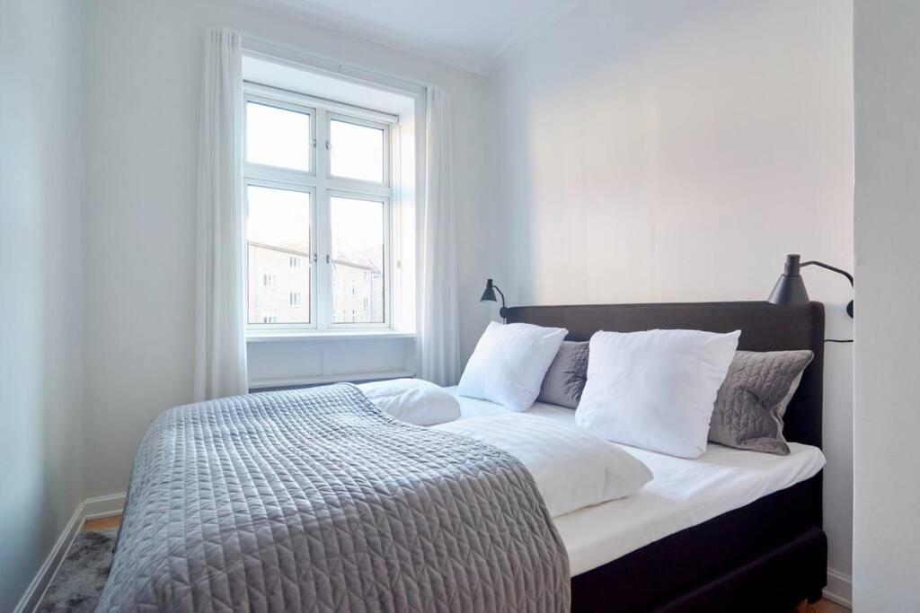 Large & Stylish Flats In Trendy & Vibrant Neighbourhood *