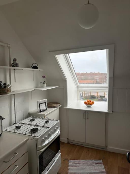 Apartment Elegant With Penthouse View In Cph Kopenhagen