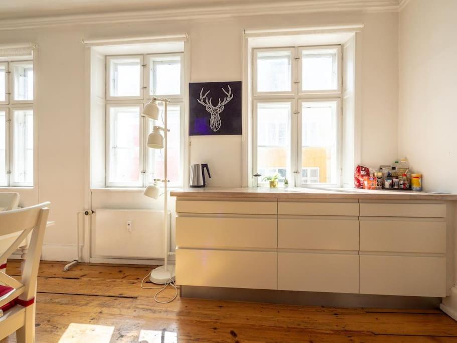 Apartment White Douplex Charm: Big Flat In The City Centre Kopenhagen
