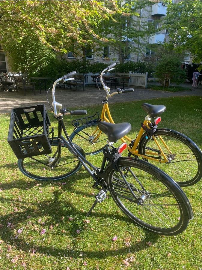 Beautiful Danish On The With 2 Free Bikes *