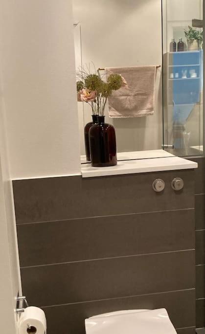 Skon Lejlighed Pa Frederiksberg København