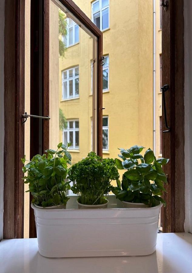 Appartement Lejlighed I Vesterbro- Dybbolsgade Kopenhagen