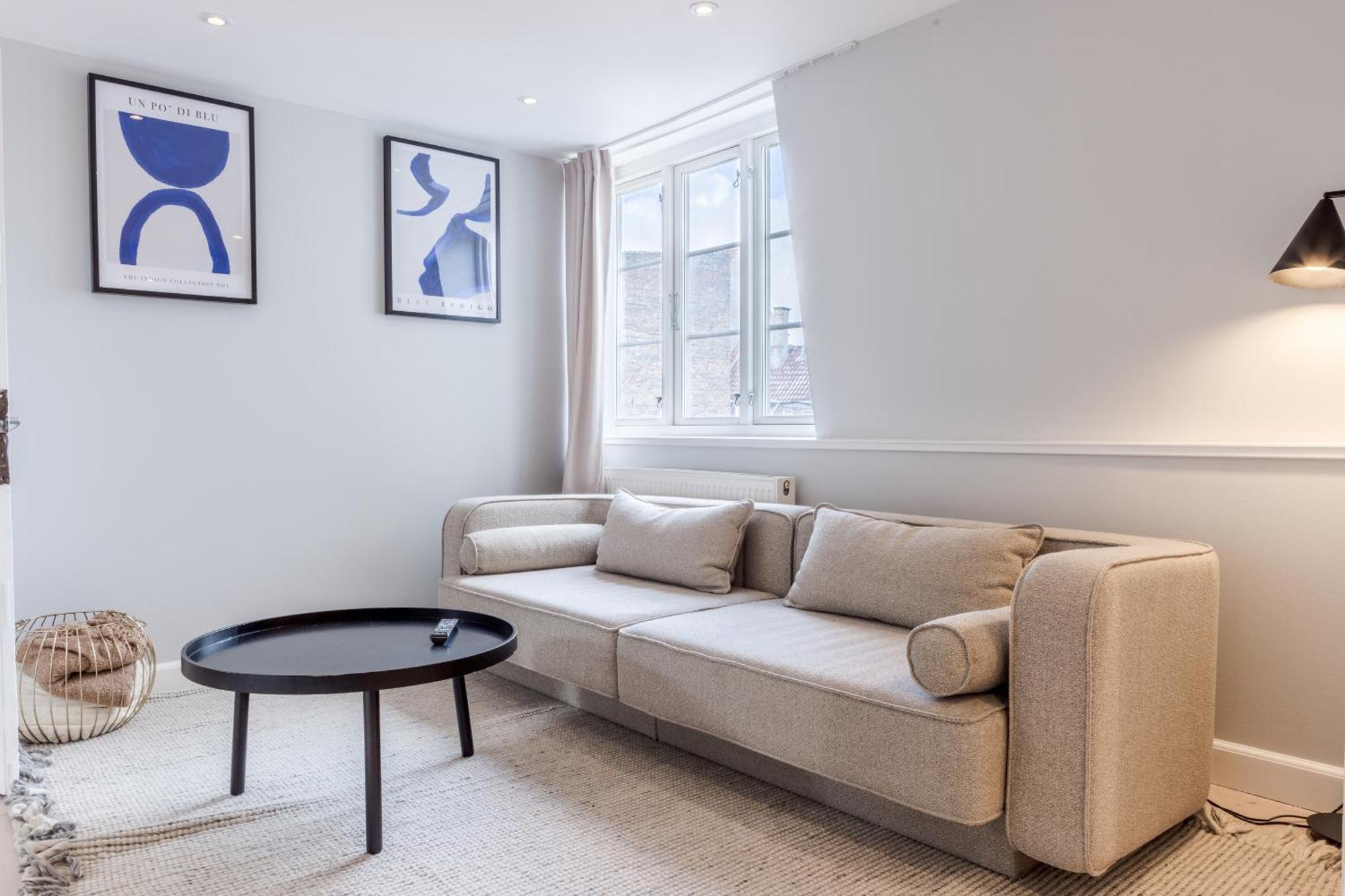 Penthouse W/rooftop Terrace In Latin Quarter Apartment Copenhagen