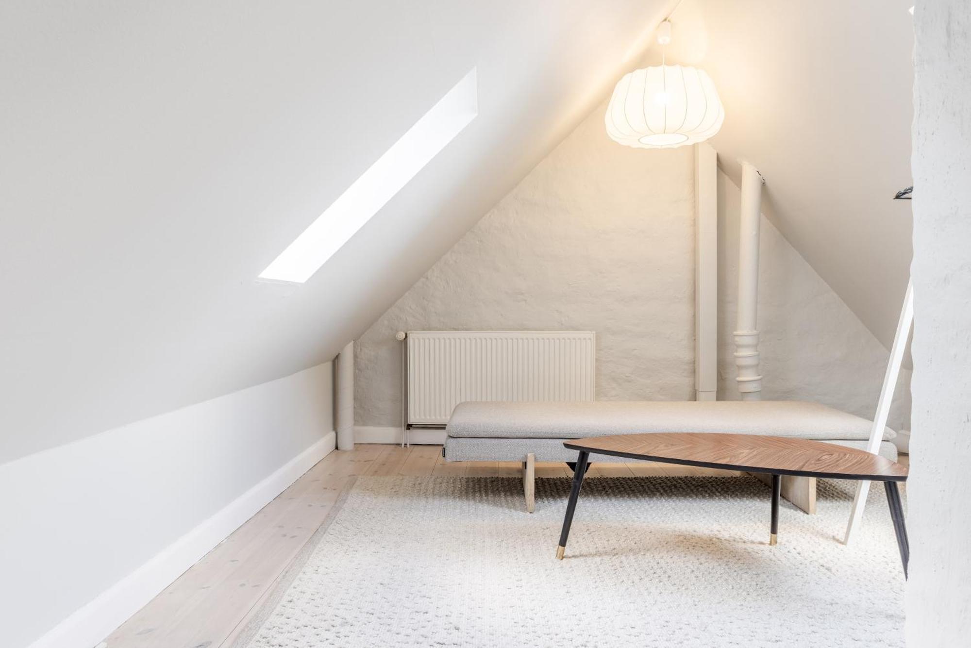 Penthouse W/rooftop Terrace In Latin Quarter Apartment Copenhagen