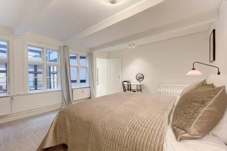 Apartment 2br In Heart Of Cph *