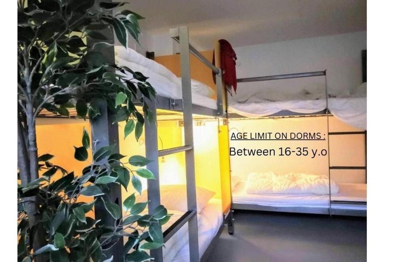Sleep In Heaven Hostel *