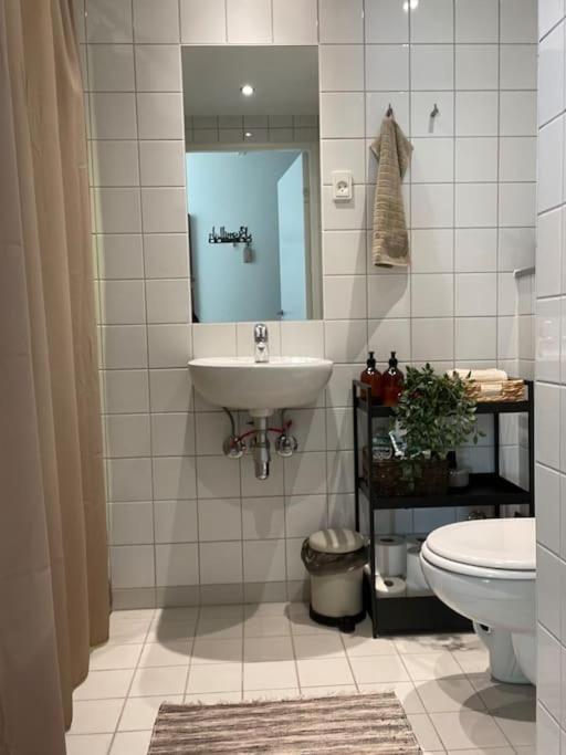 Modern In Orestad Appartement Kopenhagen