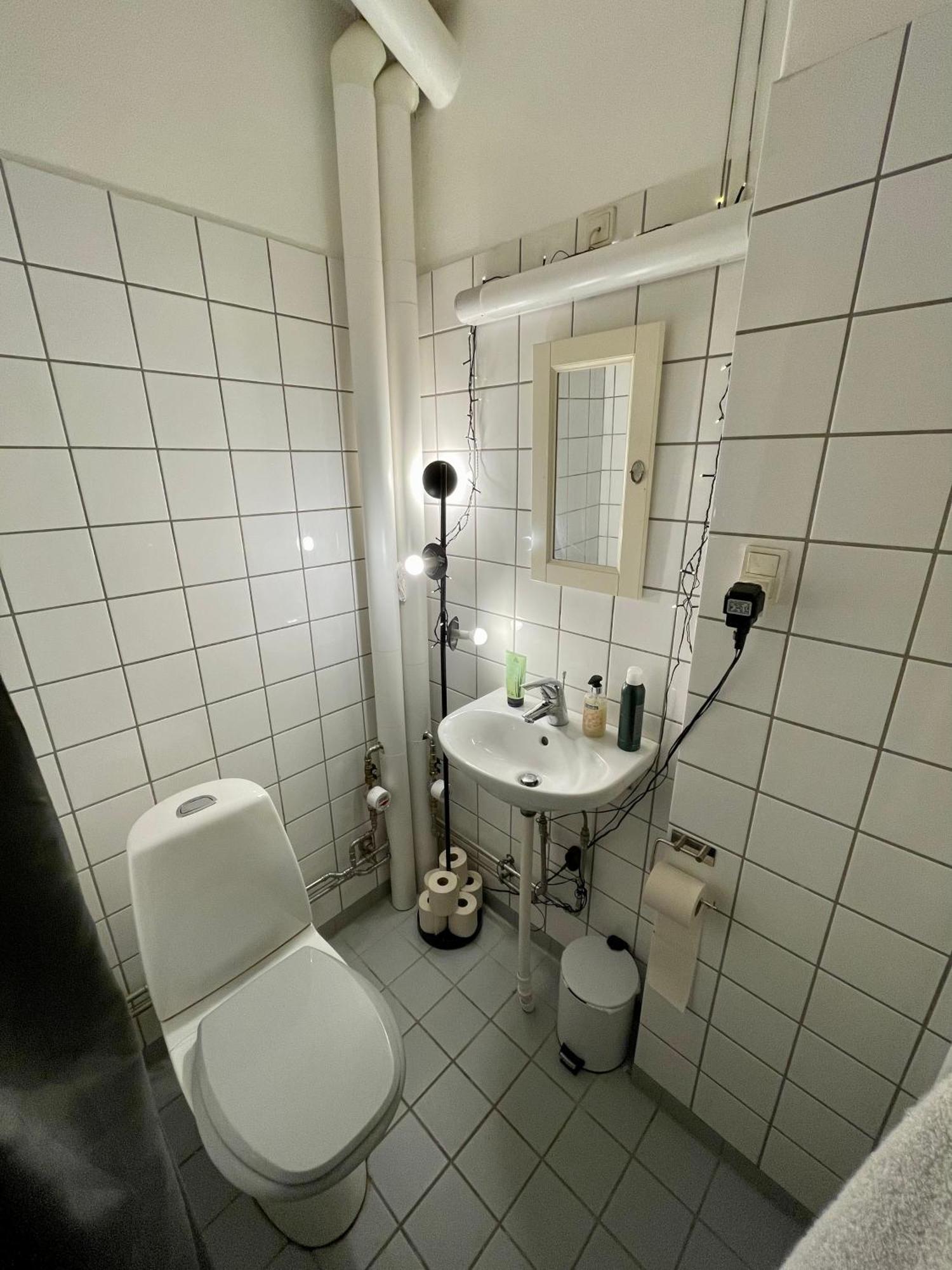 Med Udsigt Til Frederiksberg Have Copenhague