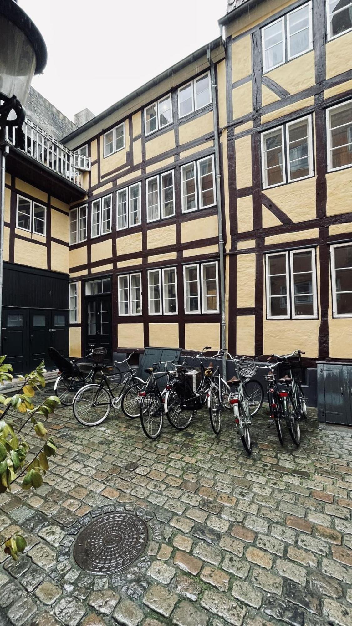 Apartment Apartmentincopenhagen 1598 Copenhagen