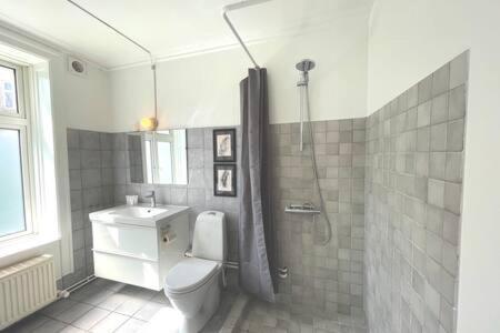 Flats In Trendy And Vibrant Norrebro Area Apartment