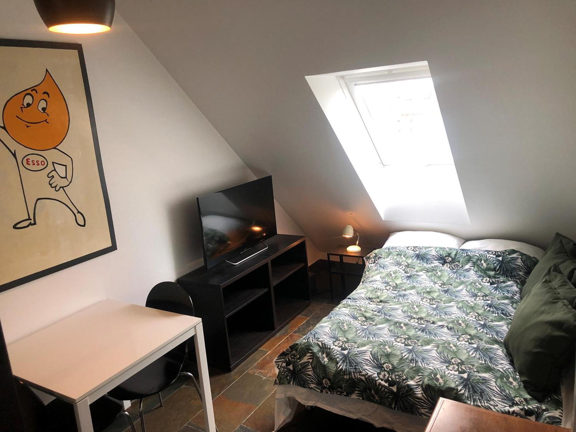 Apartment Penthouse In The Heart Of The Copenhagen