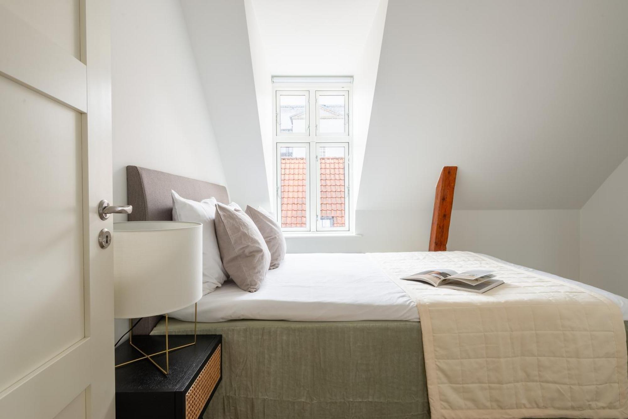 Apartment Sanders Leaves - Two-bedroom With Shared Roof-top Terrace Copenhagen