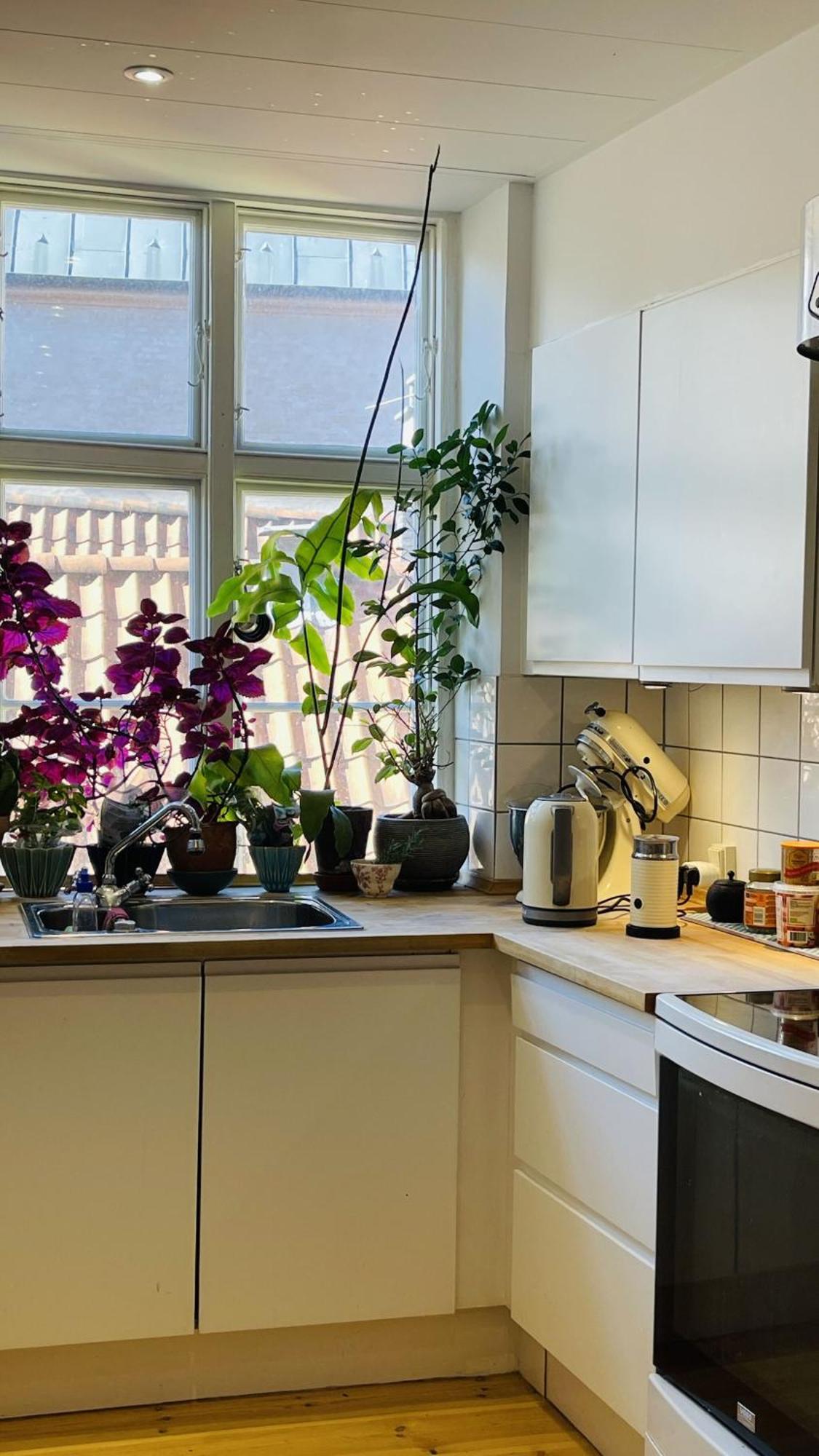 Apartmentincopenhagen 1610 Apartamento