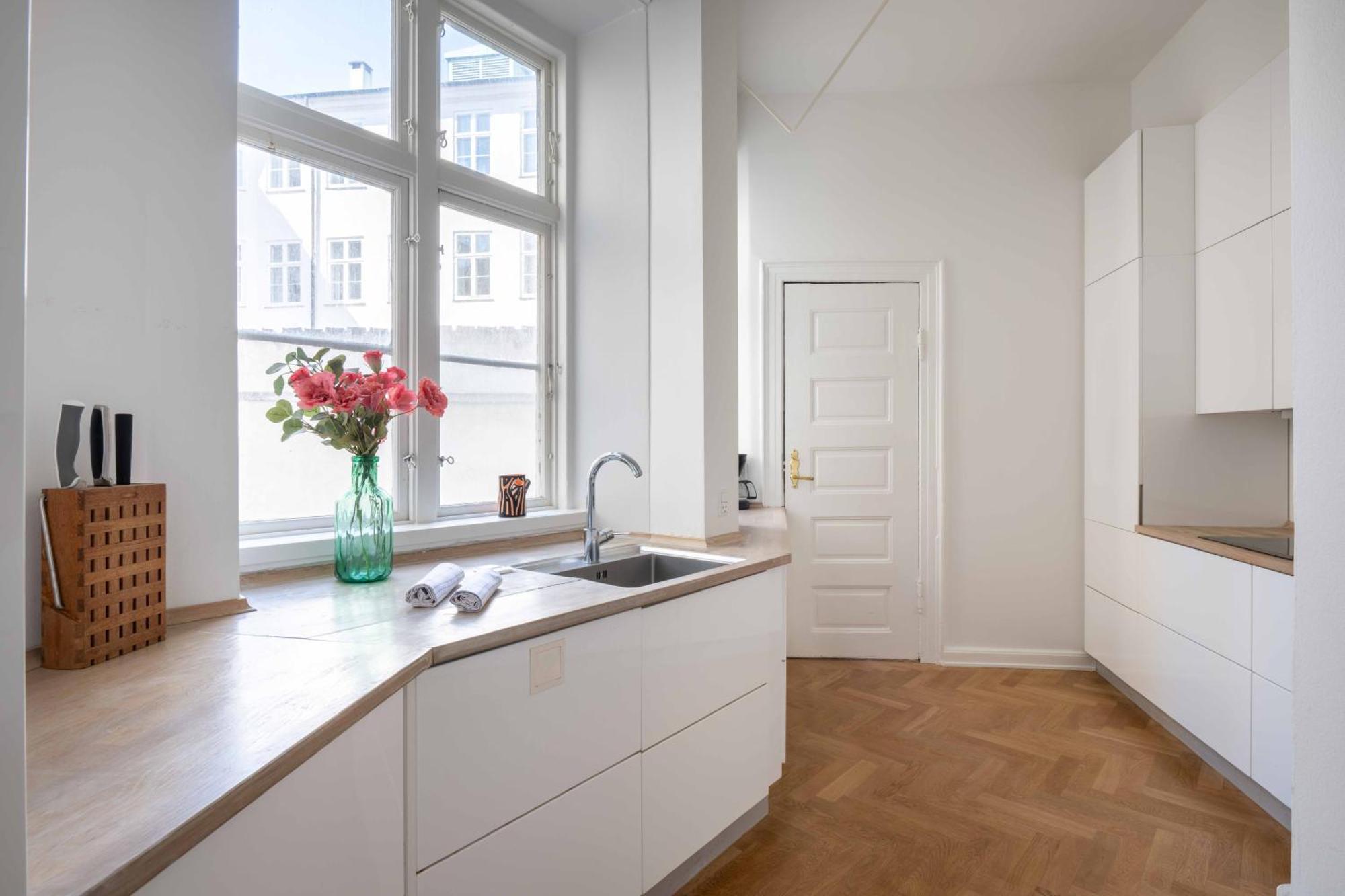 Apartment Lavish 4br Flat In The Heart Of Cph By The Canals Copenhagen